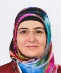  Arzu Hilal TOKGÖZ